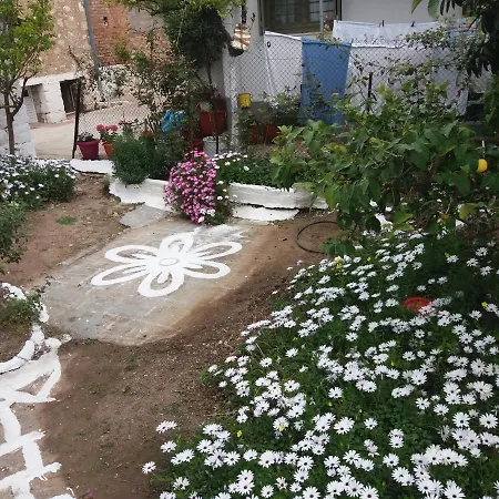Adriani Apts *