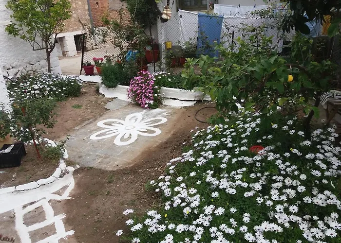 Adriani Apts *